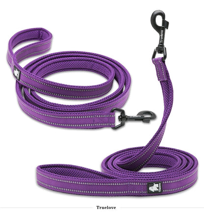Dog Leash with Padded Handle