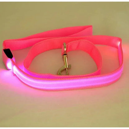 Rope Harness Collar Electronic Glowing