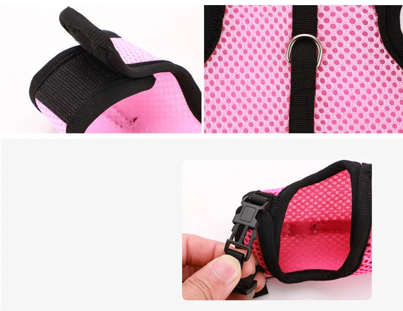 Small Mesh Harness/Leash