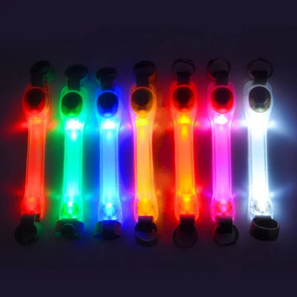 Waterproof Dog Anti-Lost Safety Glowing Collar