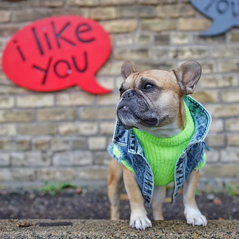 Pet Dog Jeans Jacket Denim Coats