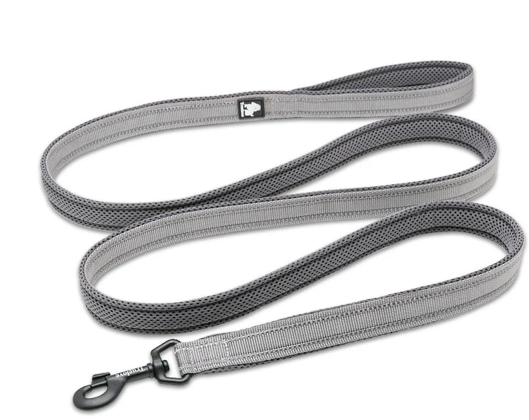 Dog Leash with Padded Handle