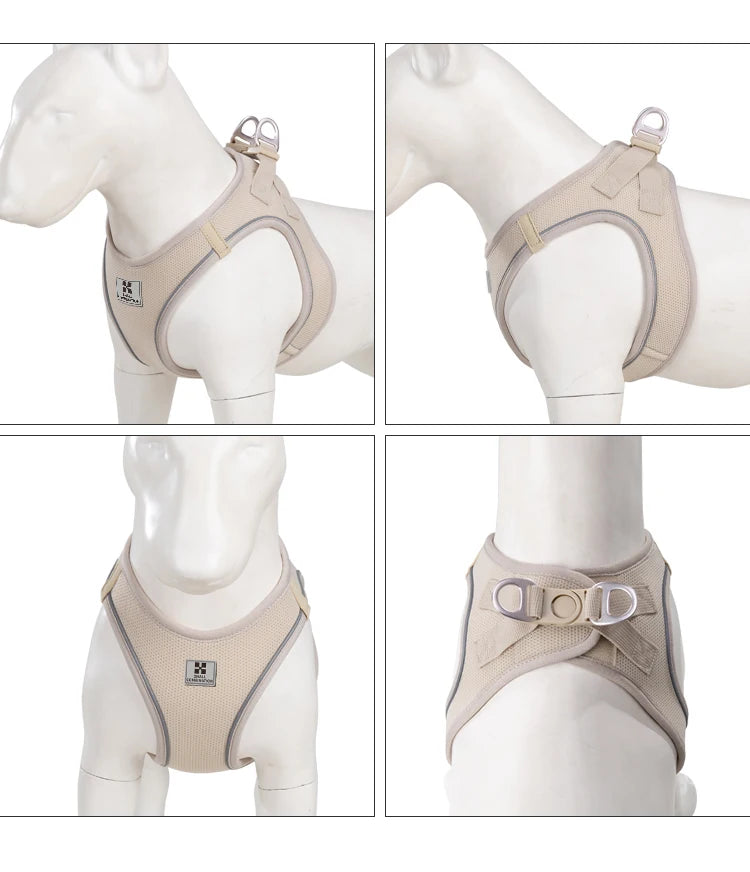 Dog Harness Leash Set