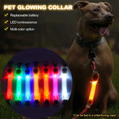 Waterproof Dog Anti-Lost Safety Glowing Collar