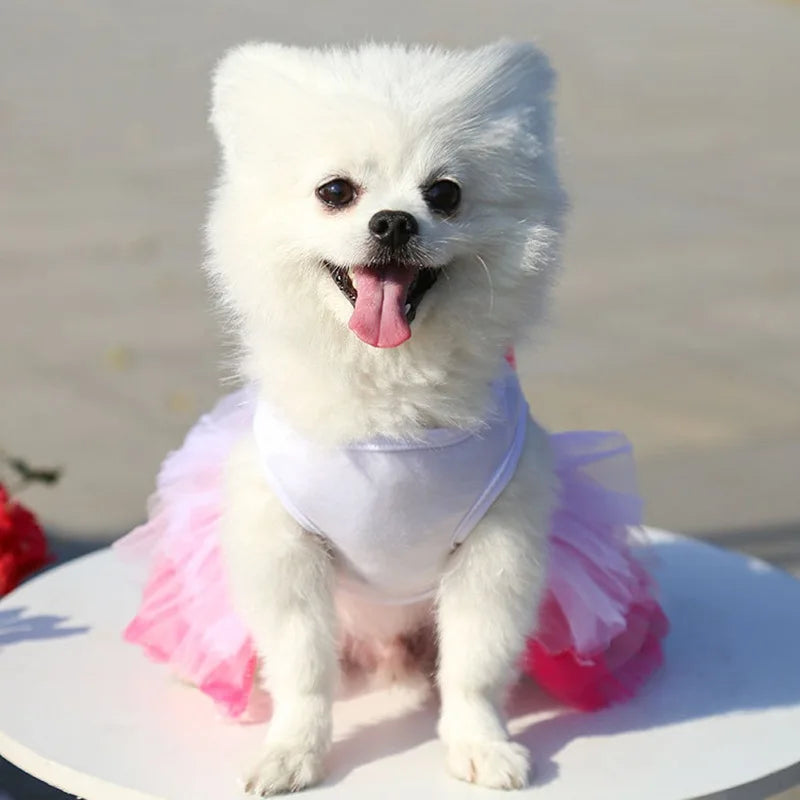 Sweet Dog Princess Dress