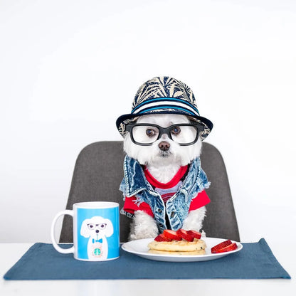 Pet Dog Jeans Jacket Denim Coats