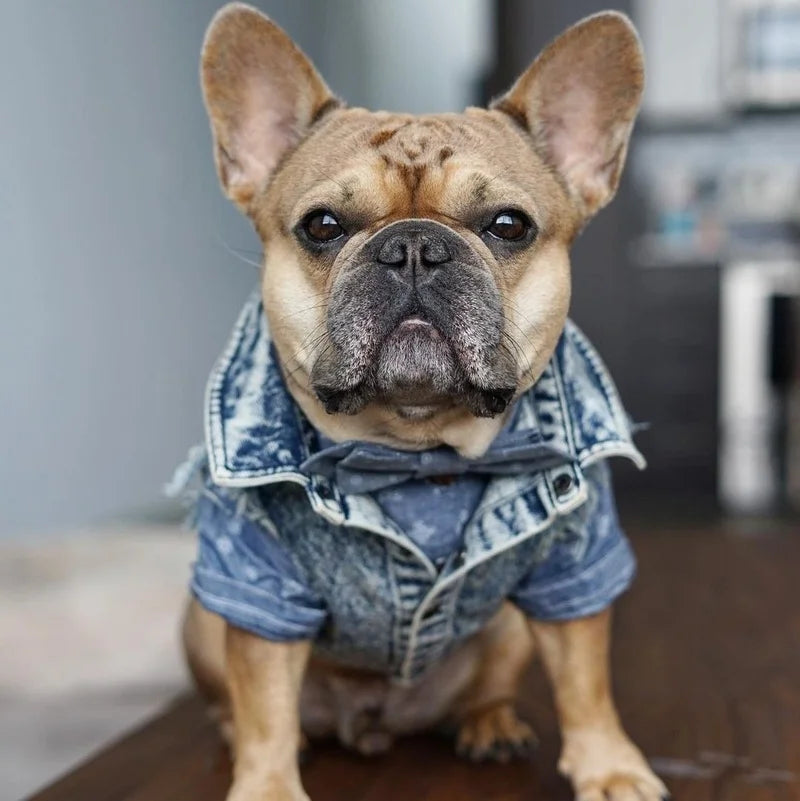Pet Dog Jeans Jacket Denim Coats