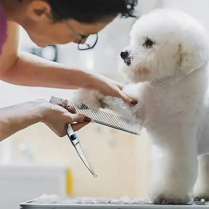 Ambidextrous Pet Safe Dog Grooming Shears