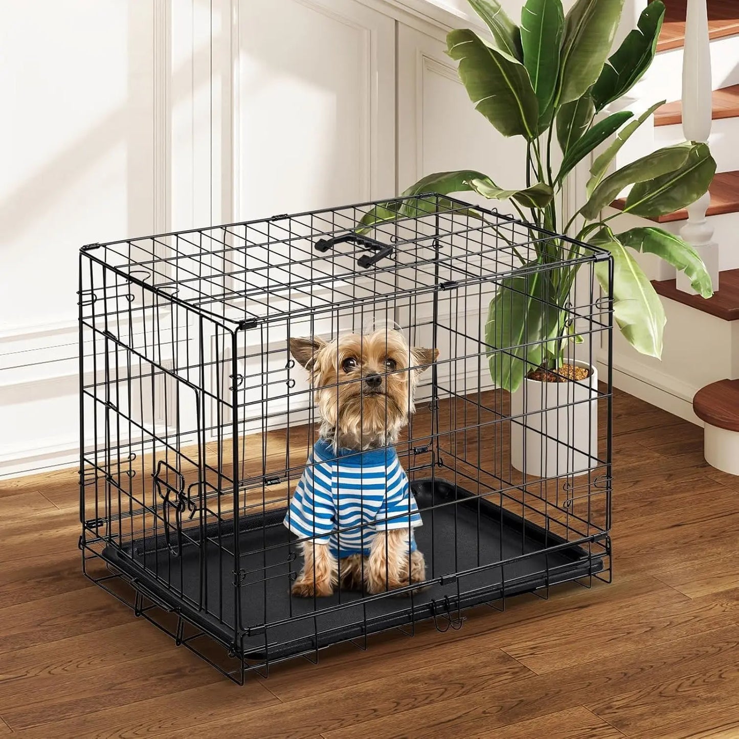 Small Single Door Dog Cage