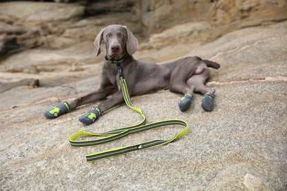 Dog Leash with Padded Handle