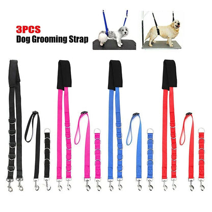 Harness Leads For Pet Grooming Table