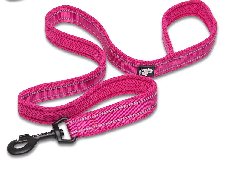 Dog Leash with Padded Handle