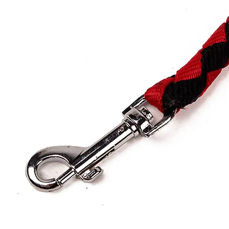 Training Double Dogs Leashes