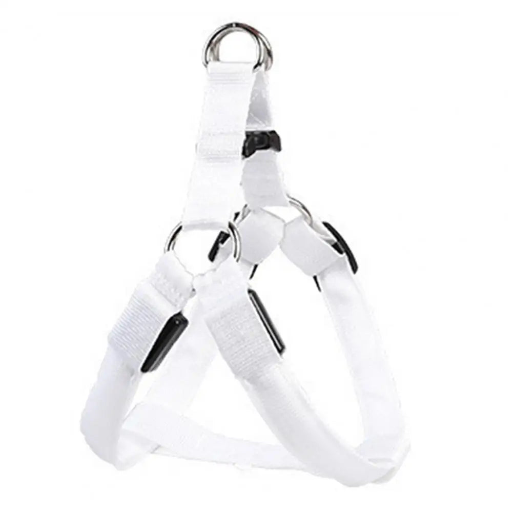 Harness USB Rechargeable