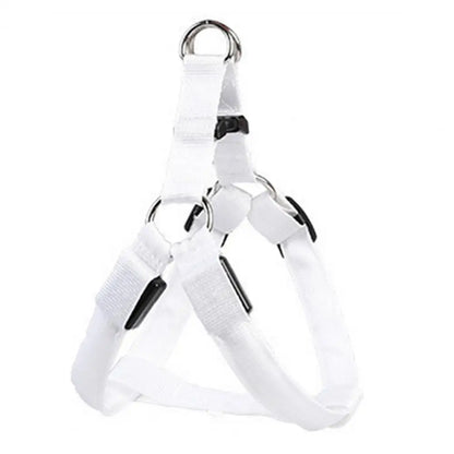 Harness USB Rechargeable
