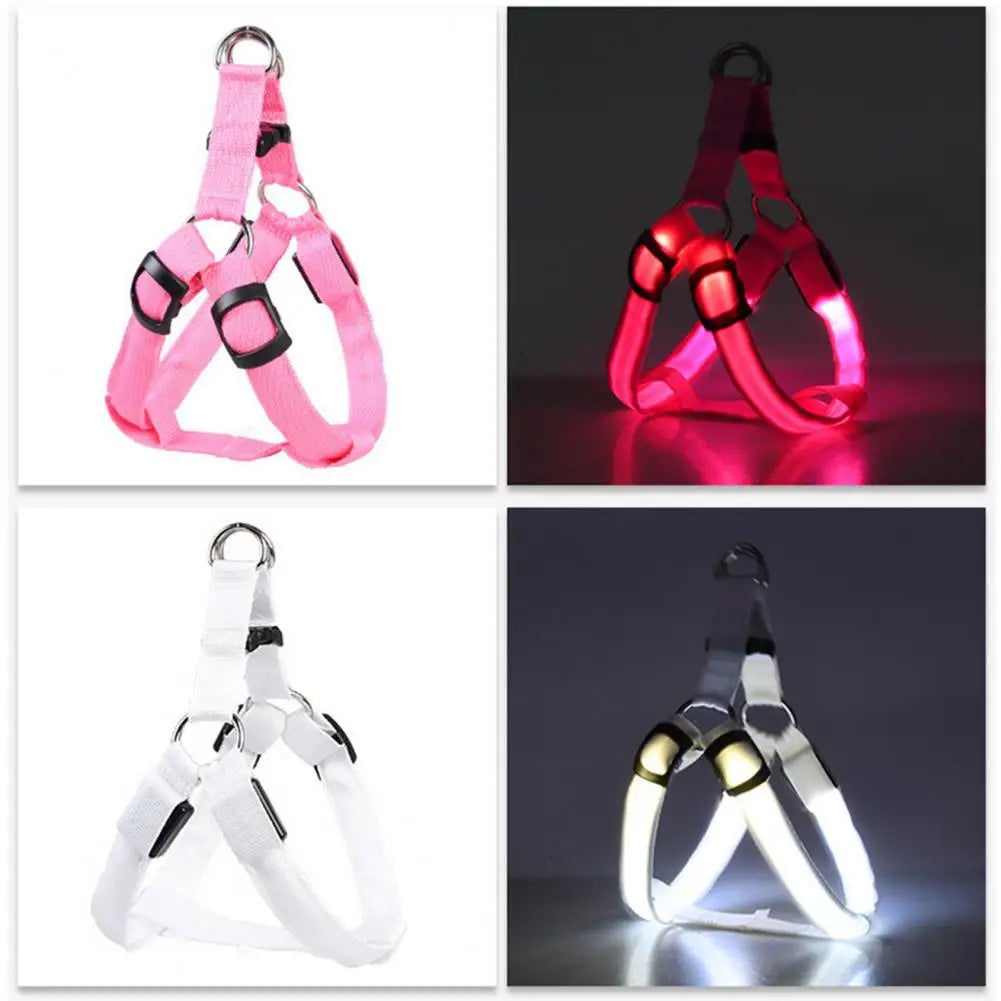 Harness USB Rechargeable
