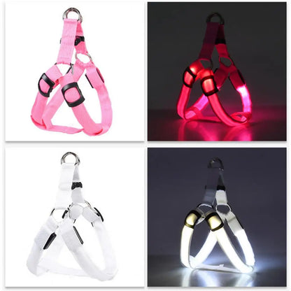 Harness USB Rechargeable