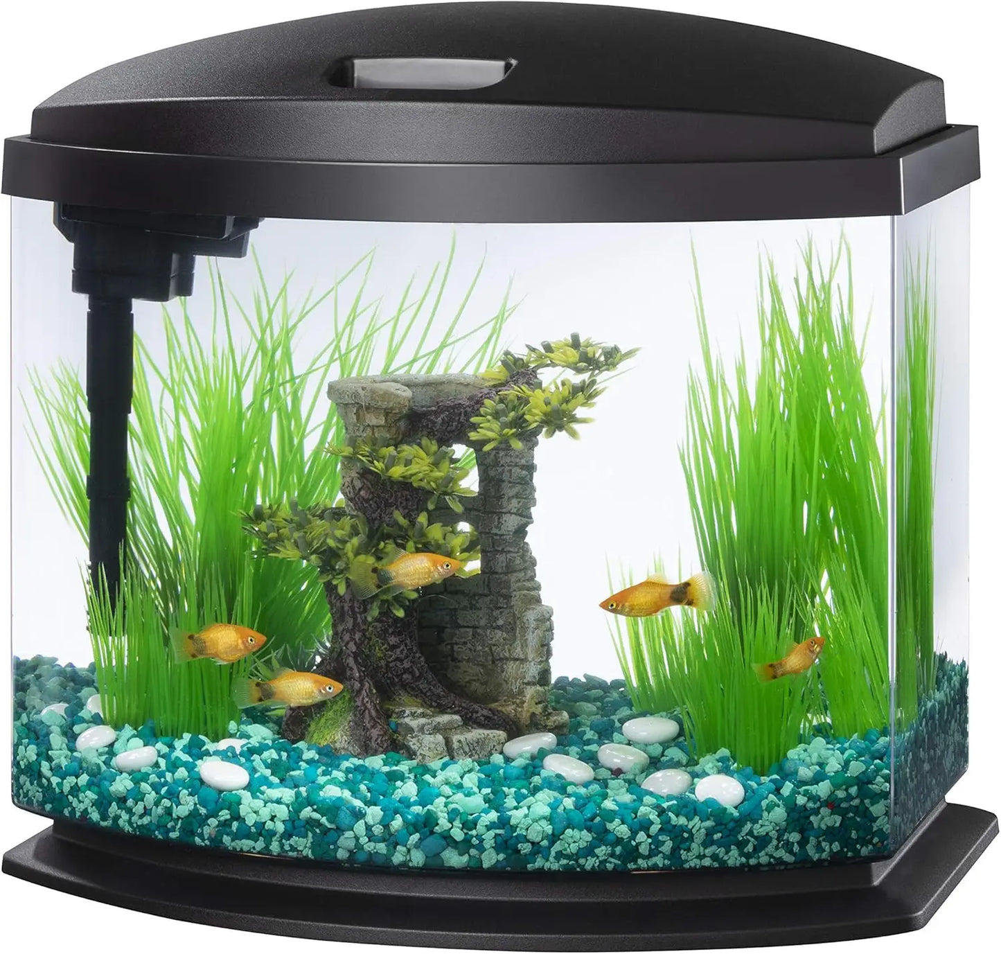 5 Gallon LED Mini Aquarium