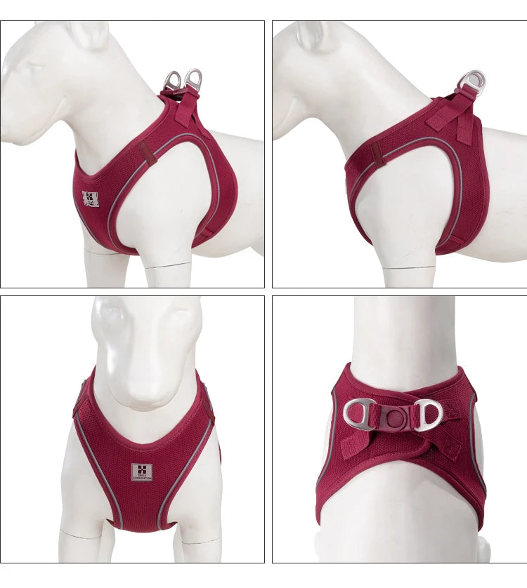 Dog Harness Leash Set