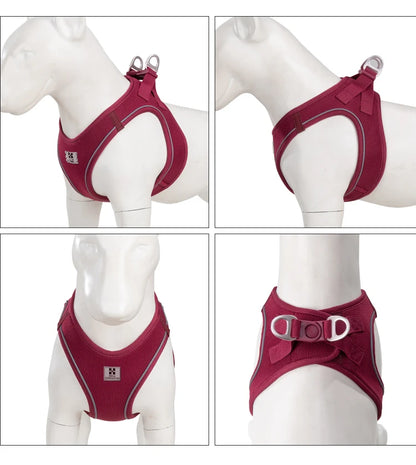 Dog Harness Leash Set