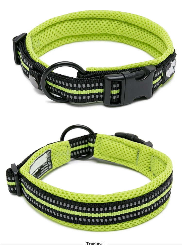Dog Walking Collar