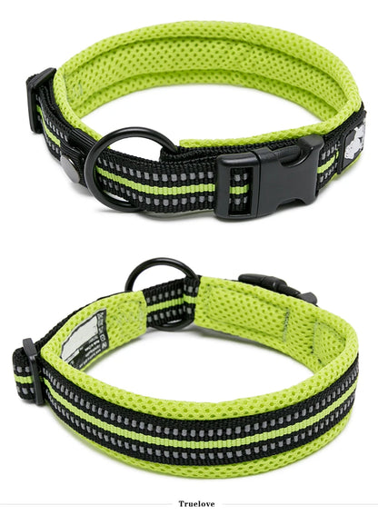 Dog Walking Collar