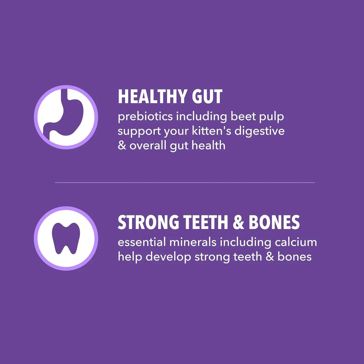 Healthy Kitten Dry Cat Food