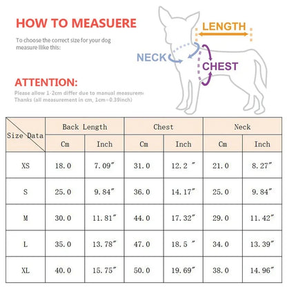 Summer Cotton Sphynx Cat T Shirt