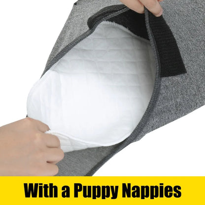 Recovery Suit for Dogs Cats After Surgery
