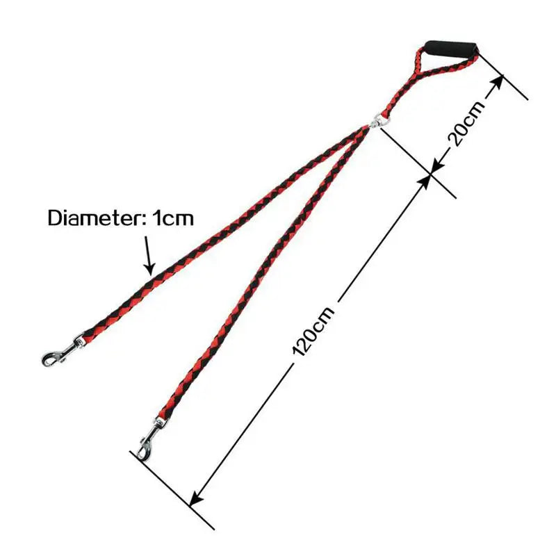 Training Double Dogs Leashes