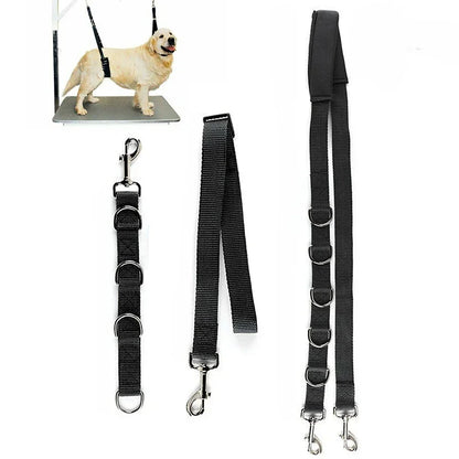 Harness Leads For Pet Grooming Table