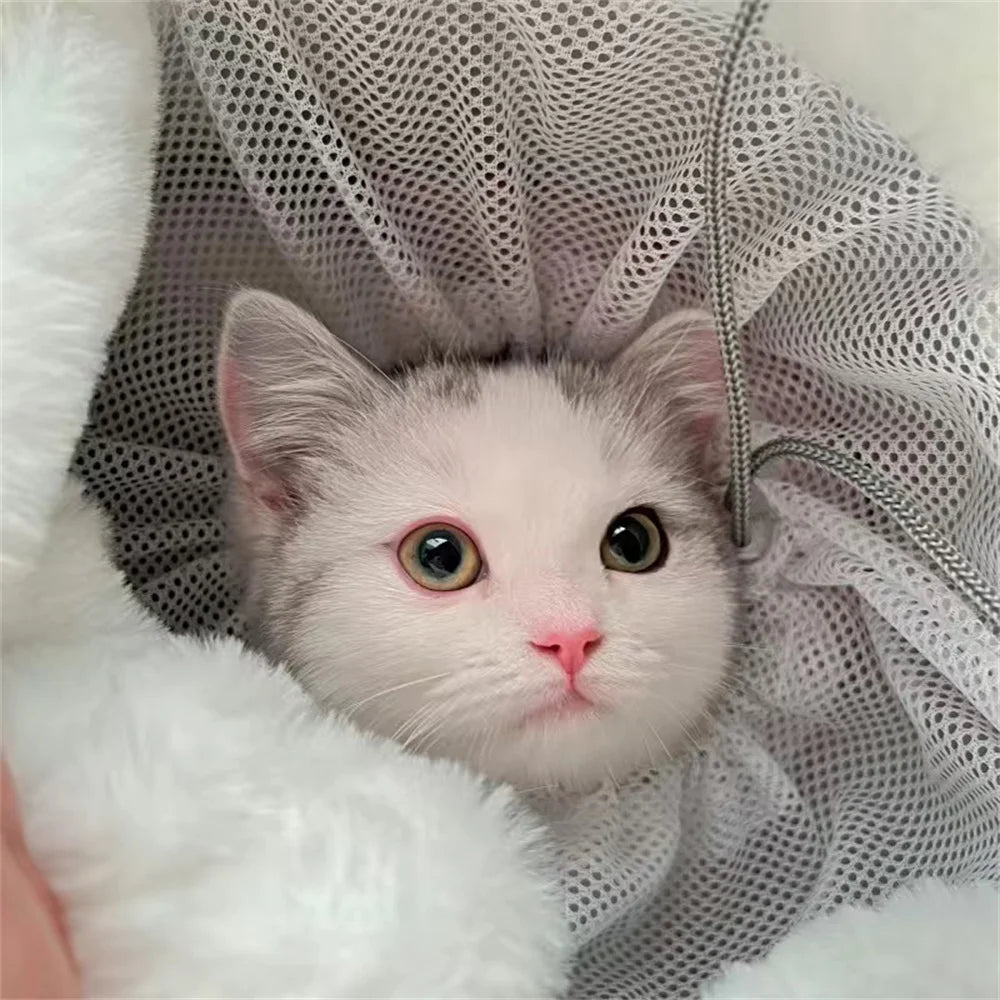 Warm Pet Carrying Bags for Small Dogs