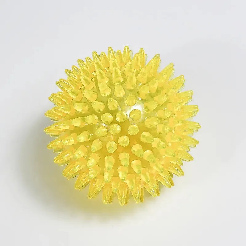 Pet Dog Squeaky Ball Toy