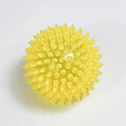 Pet Dog Squeaky Ball Toy