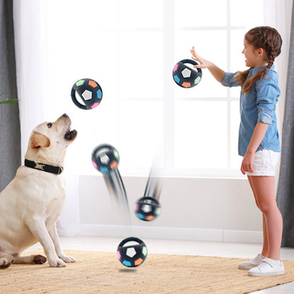 Dog Calming Ball