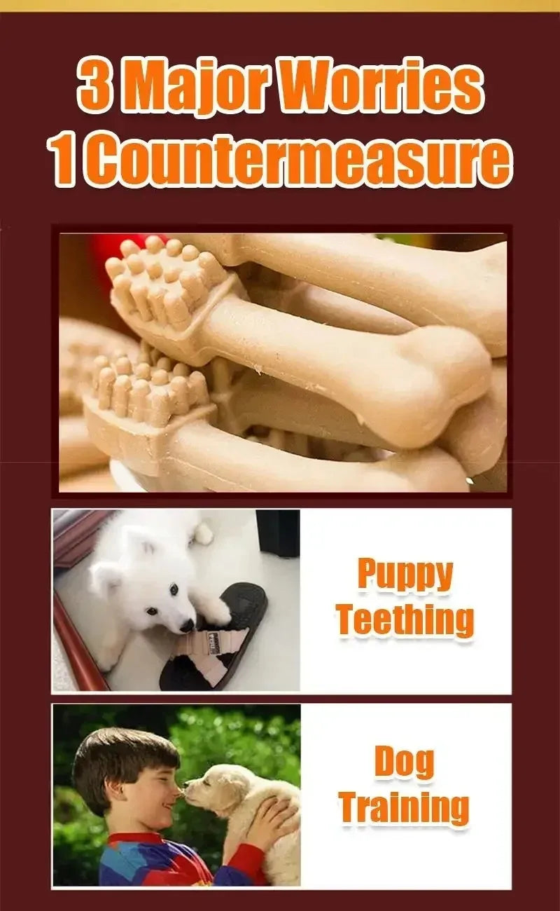 Dog Bruxism Stick