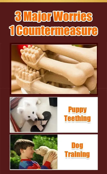 Dog Bruxism Stick