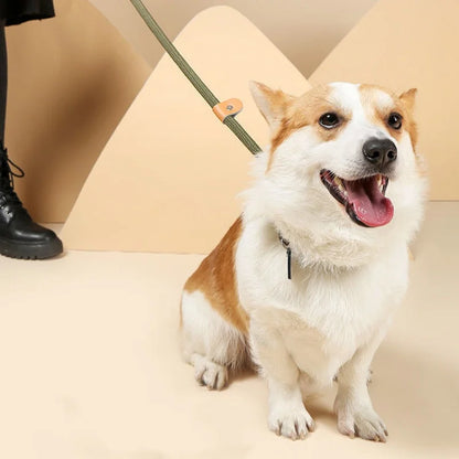 Adjustable Collar Harness Dog Leash