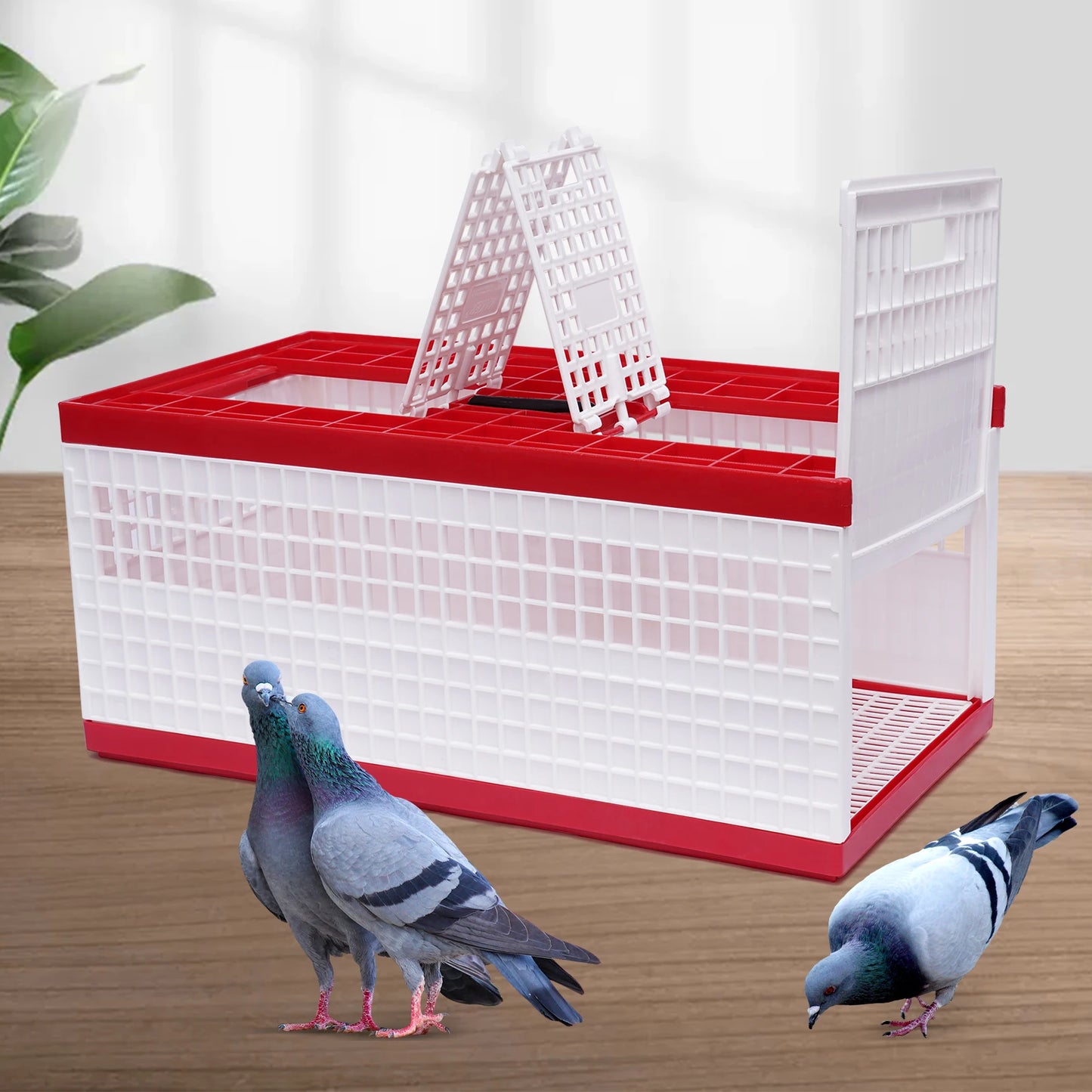 Foldable Pigeon Cage with Handle