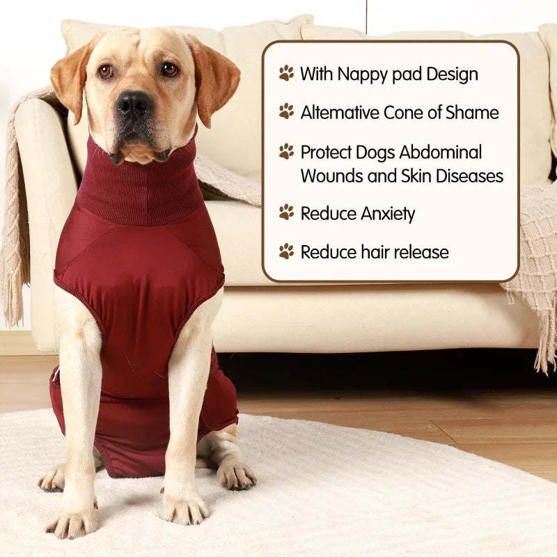 Recovery Suit for Dogs Cats After Surgery