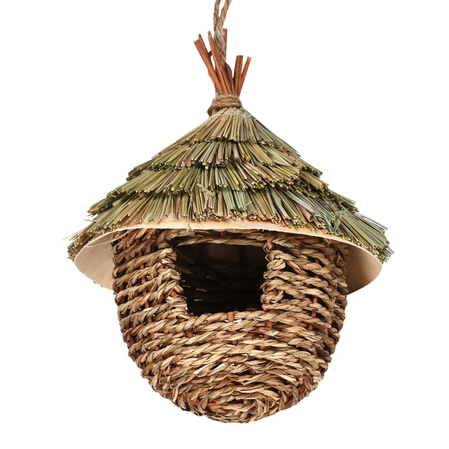 Bird House Hummingbird Nests