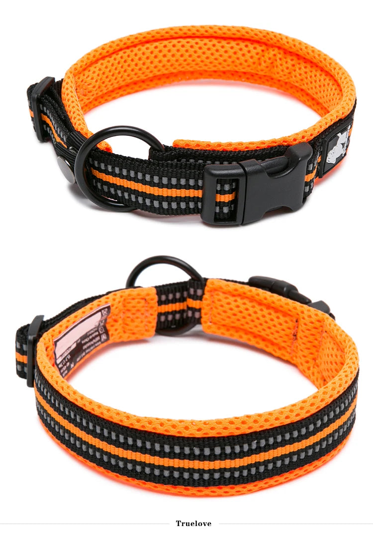 Dog Walking Collar