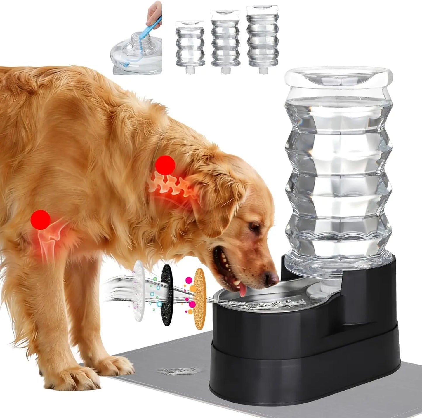 Water Dispenser for Dogs
