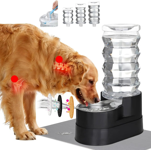 Water Dispenser for Dogs