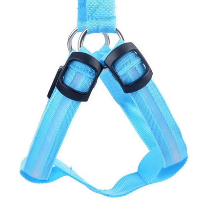 Harness USB Rechargeable