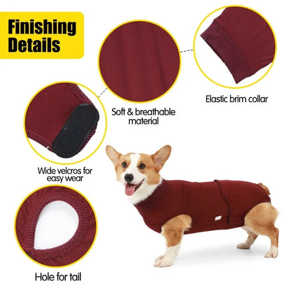 Recovery Suit for Dogs Cats After Surgery