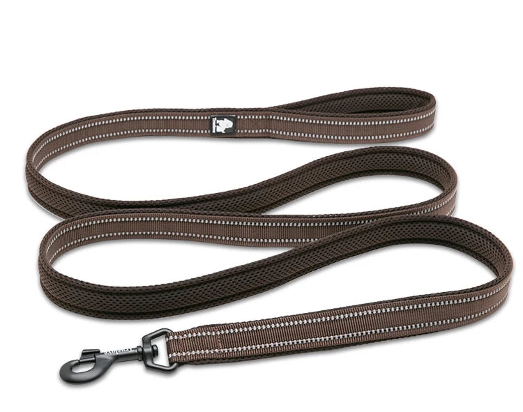 Dog Leash with Padded Handle