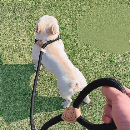 Adjustable Collar Harness Dog Leash