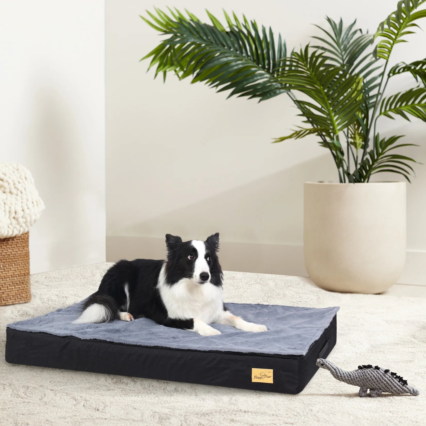 Jumbo Pet Orthopedic Bed