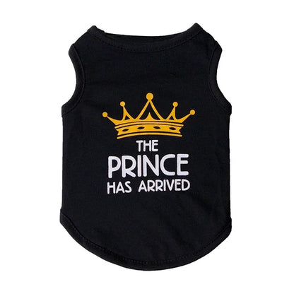 Summer Cotton Sphynx Cat T Shirt Vest